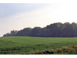 Kosciusko County, Indiana farmland - REAL ESTATE AUCTION - 91+/- ACRES IN 4 TRACTS IN KOSCIUSKO COUNTY, INDIANA